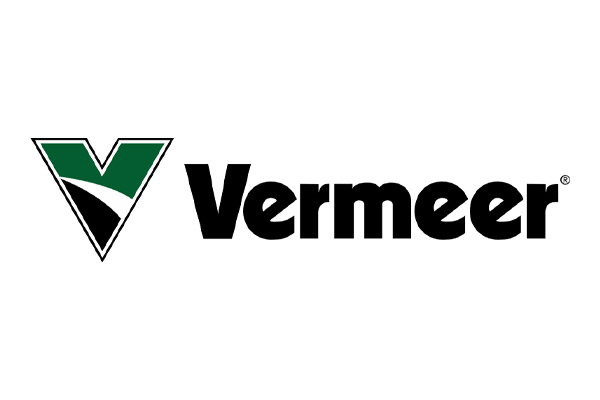 Vermeers